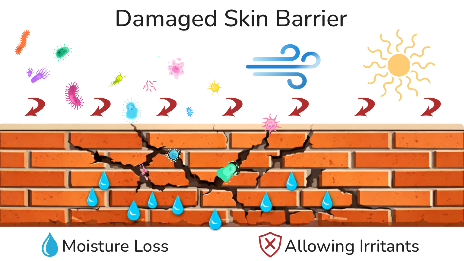 cracked brick wall illustrating a damaged or compromised skin barrier allowing moisture loss and irritants
