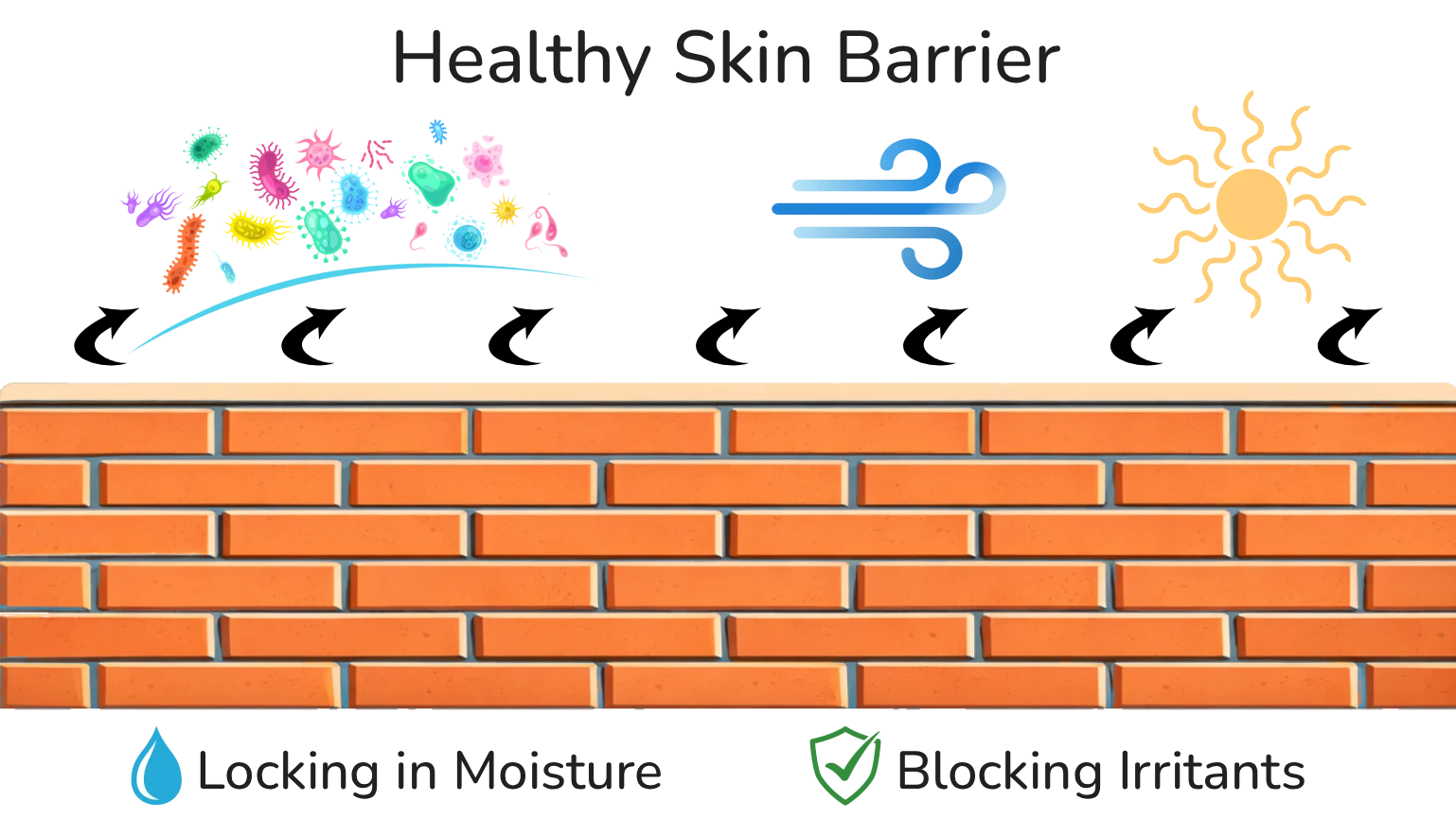 brick wall illustrating a healthy skin barrier protecting against moisture loss and irritants